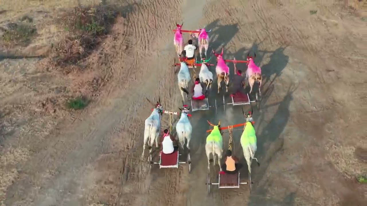 आरेवाडी ब गट बैलगाडी शर्यत बक्षीस 21000 1बबलू बस्तवडे 2शहानुर भाई 3संजू अण्णा 