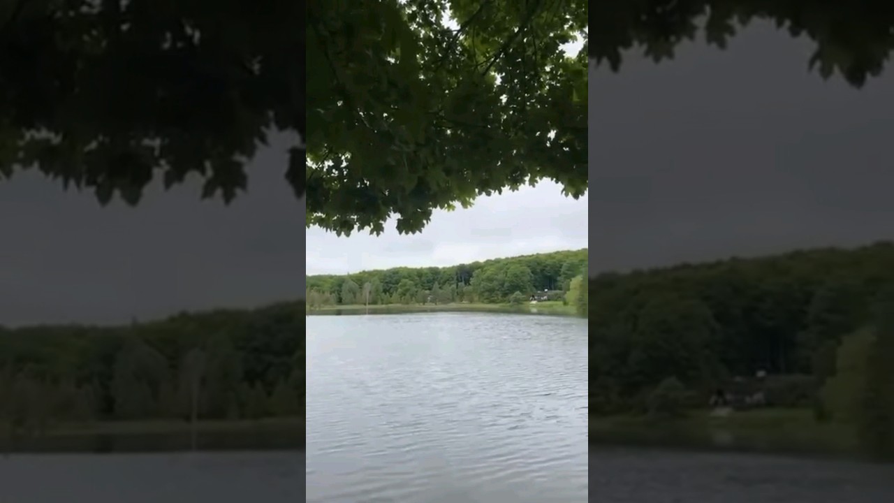 Relaxing and Peaceful: Enjoy Summer in Ontario #summer #vibes #video #weekend #life #videoshort