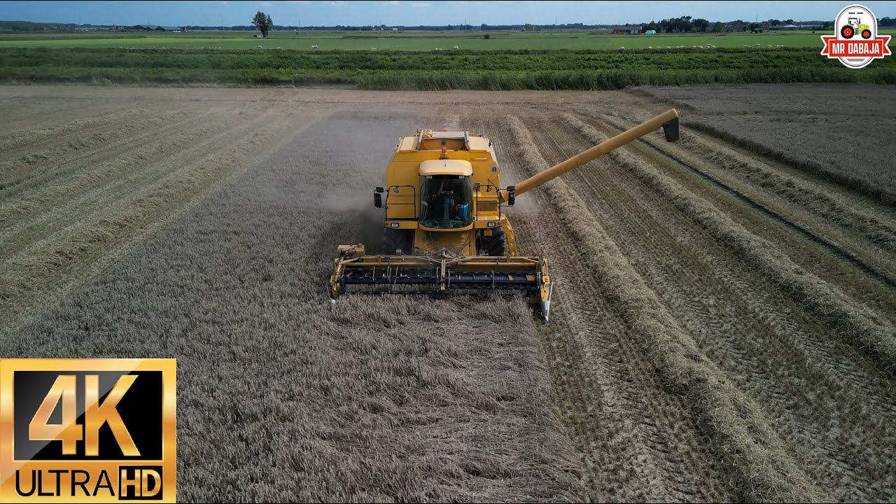 full version Timmermans Rosmalen BV new holland tx 67+ fendt 516 grain harvest 2023 +dronefootage