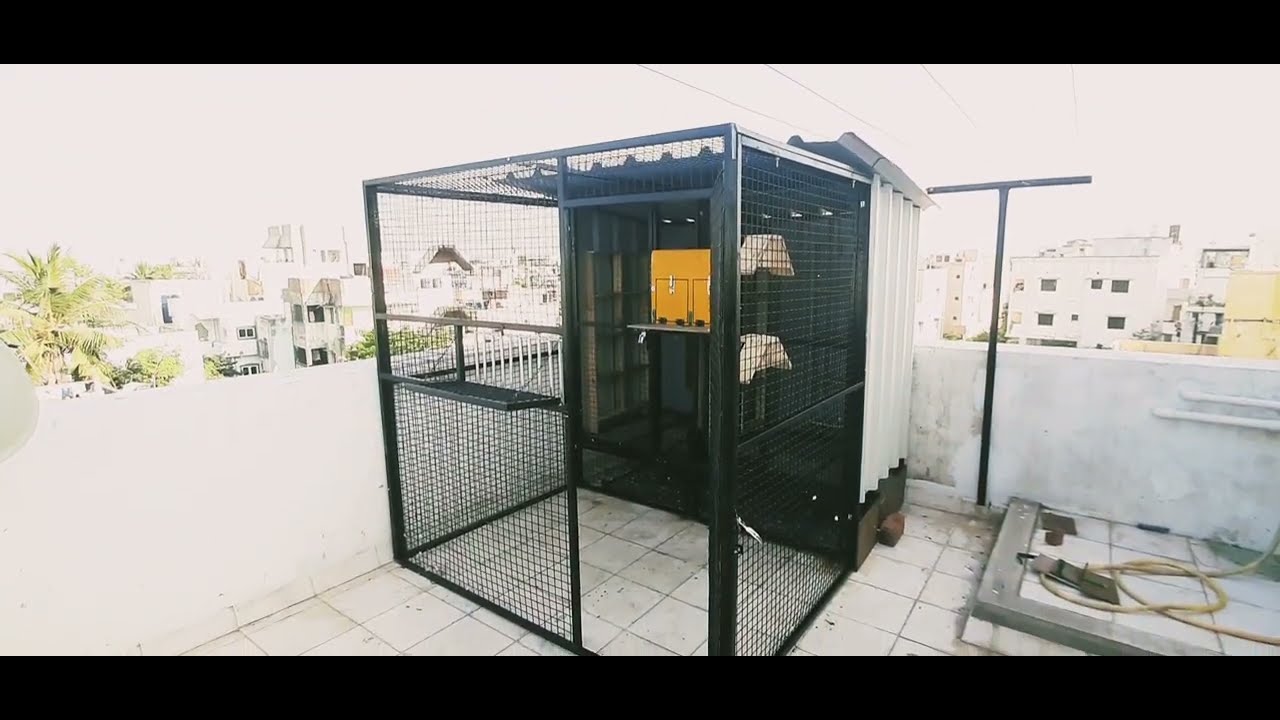racing pigeon loft design/aviary setup