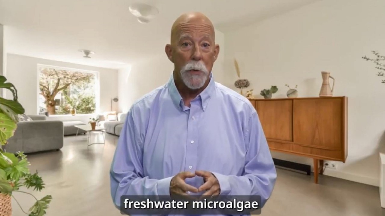 Take These 3 Algae to Reverse POOR Eyesight (Better Than Carrots!)