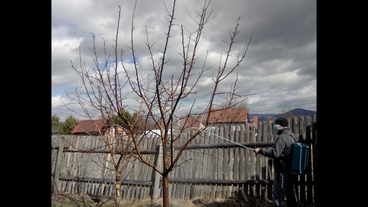 K&ouml;telező lemos&oacute; permetez&eacute;s
