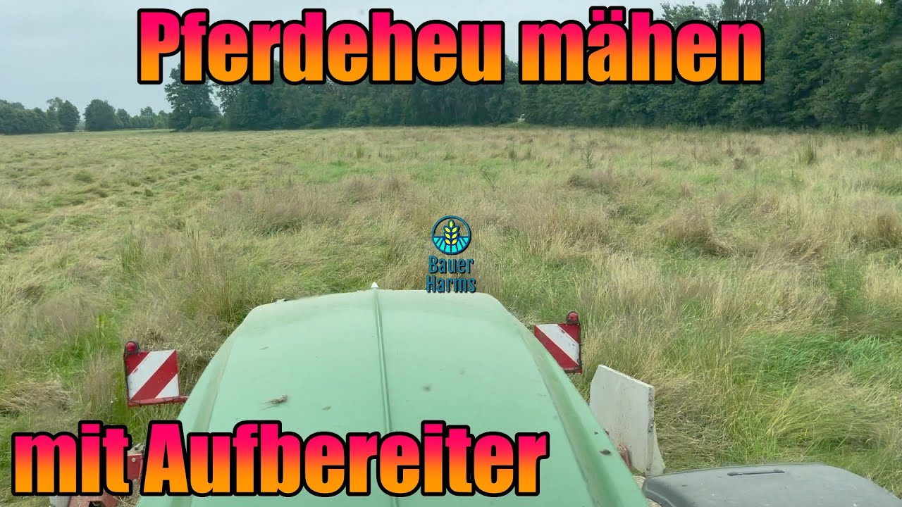 Mähen von Pferdeheu mit Aufbereiter mit John Deere 6215R Lely Splendimo FC 320 Pöttinger Novacut X8