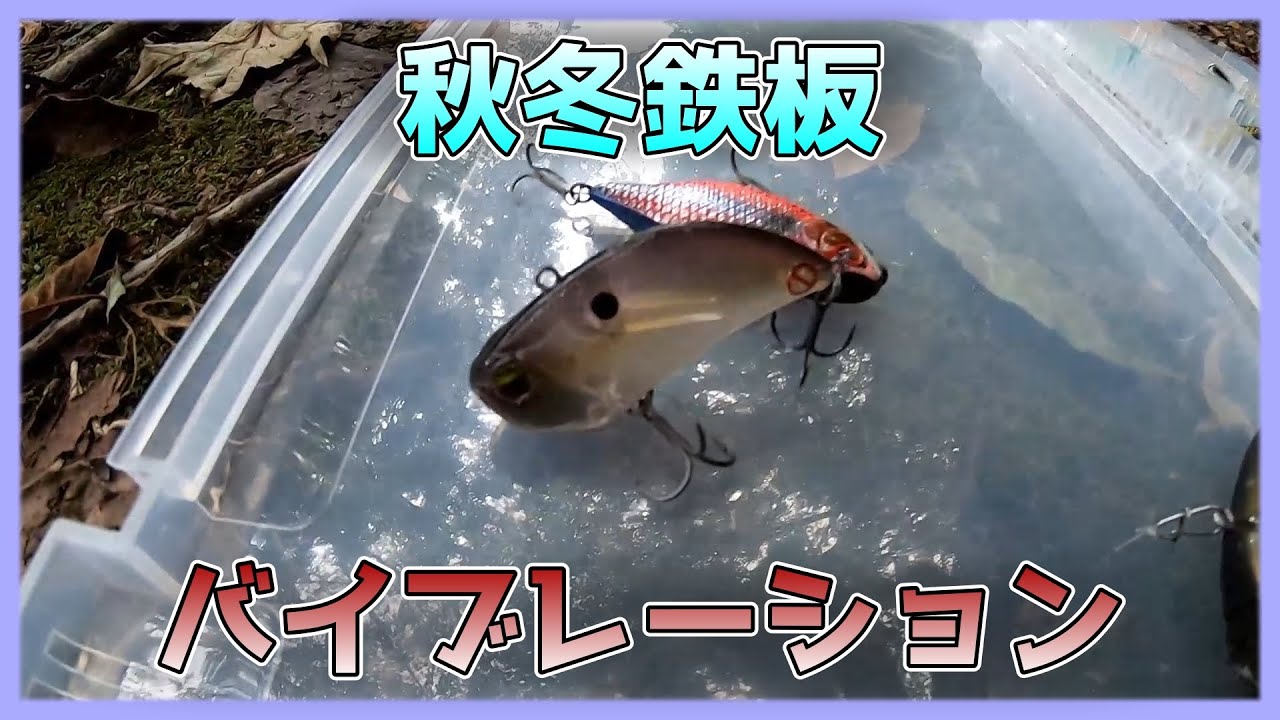 【バイブレーション】冬まで使えるハードルアー【解説】