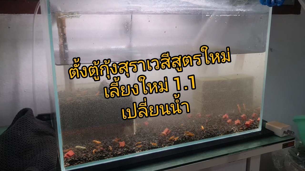 Подготовка нового аквариума для сулавесских креветок (новая установка): 1.1 Замена воды.