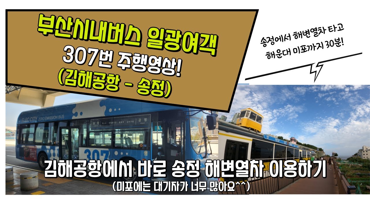 BUS-NO.17(부산시내버스 일광여객 307번 & 송정 해변열차)