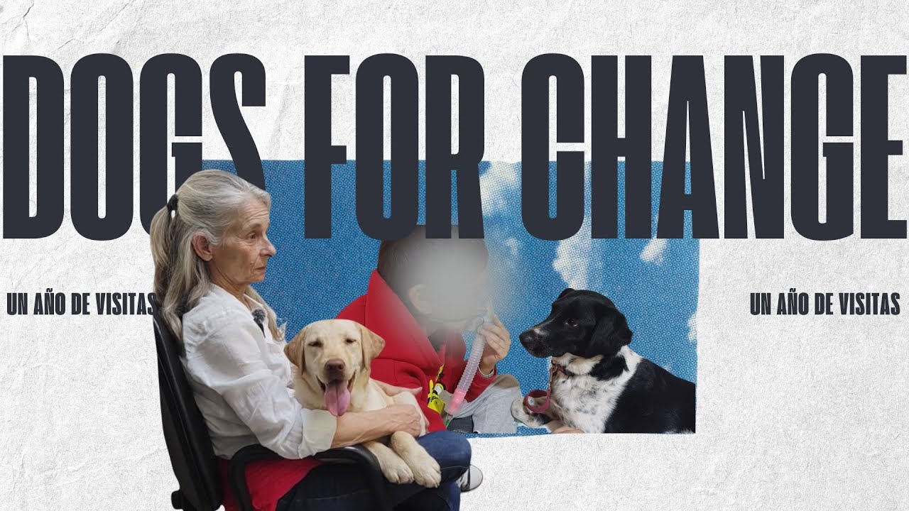 Entrevista con Marta Aguirre Paz, fundadora de DOGS FOR CHANGE