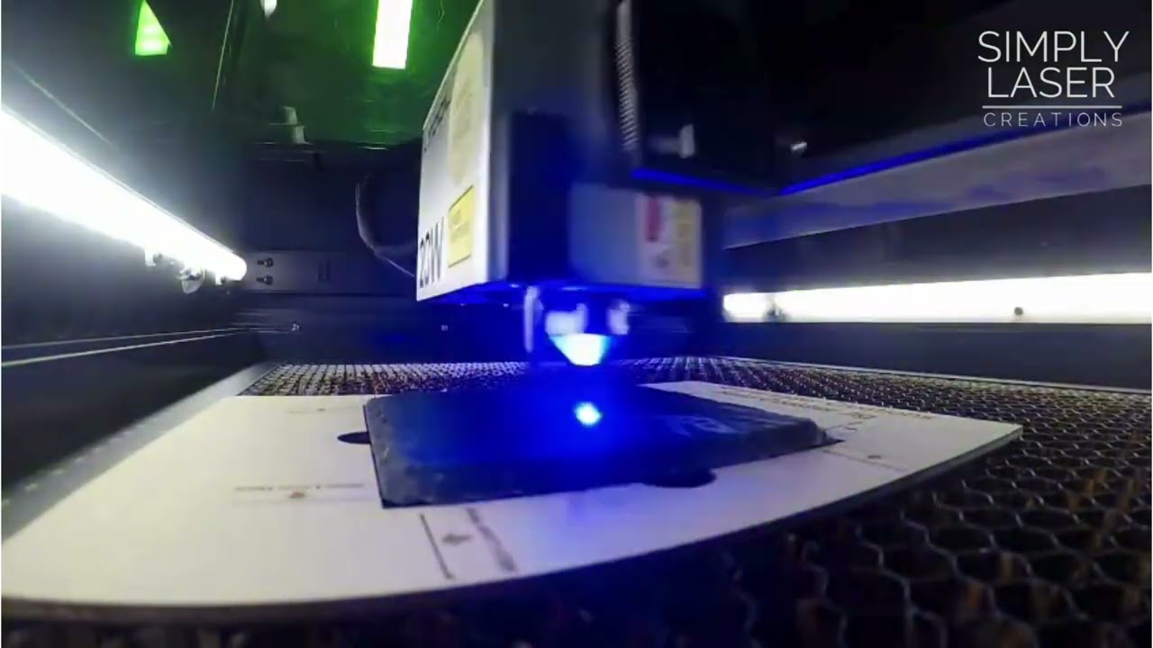 Time Lapse Velociraptor Skeleton Coaster