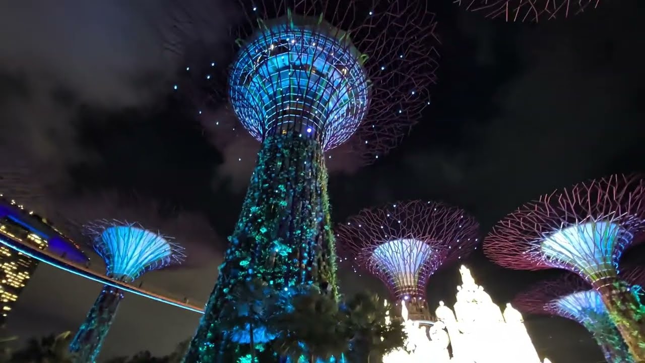 Light Show Super tree grove Singapur Christmas 2025