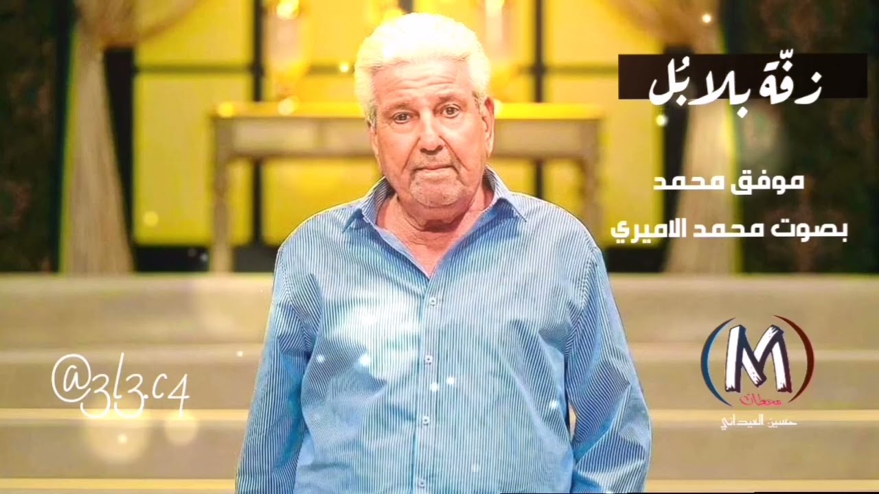 زفة بلابل || الشاعر موفق محمد || بصوت محمد الاميري #قناة_محطات