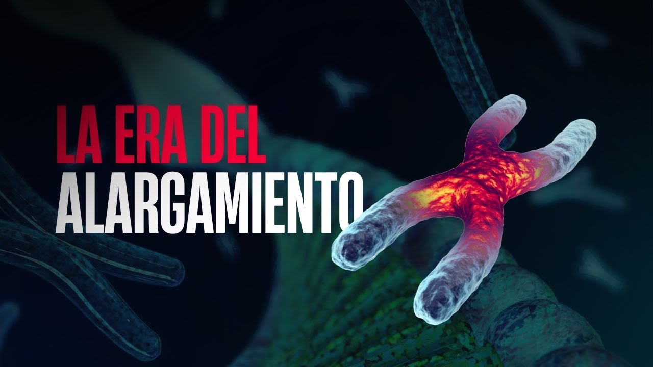 LA ERA DEL ALARGAMIENTO