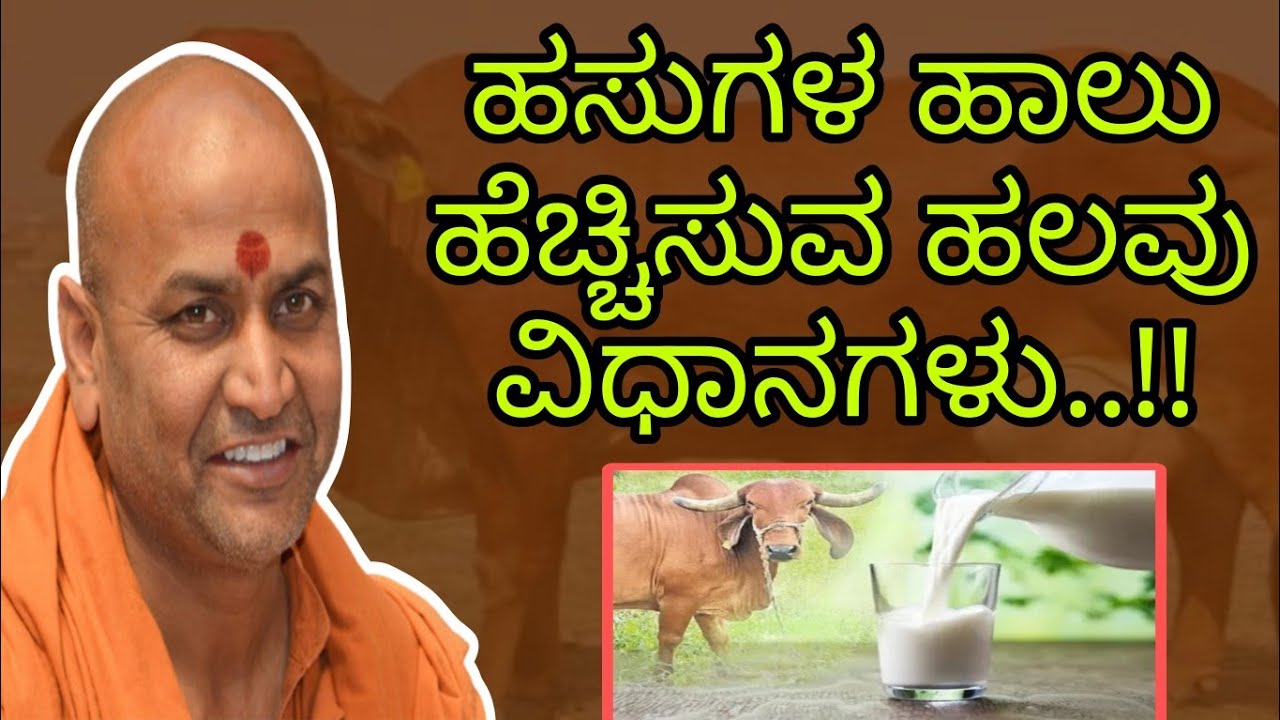 ದನಗಳ ಹಾಲು ಹೆಚ್ಚಿಸುವ ವಿಧಾನಗಳು..!! || ಶ್ರೀ ಕಾಡಸಿದ್ದೇಶ್ವರ ಸ್ವಾಮೀಜಿ