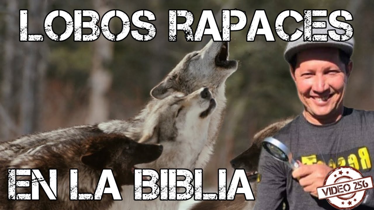El Padre Luis Toro nos dice cu&aacute;les son los lobos rapaces de la Biblia