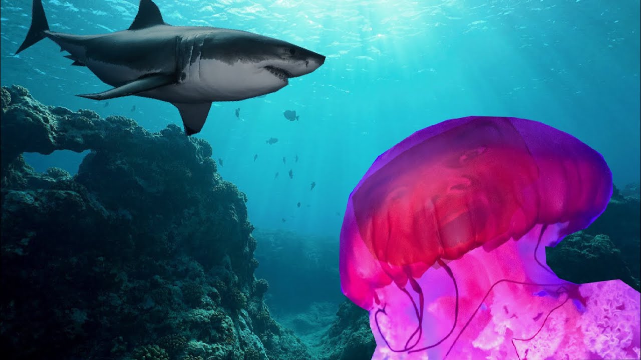 Deep Diving Simulator - Part 2 - Dangers all around!