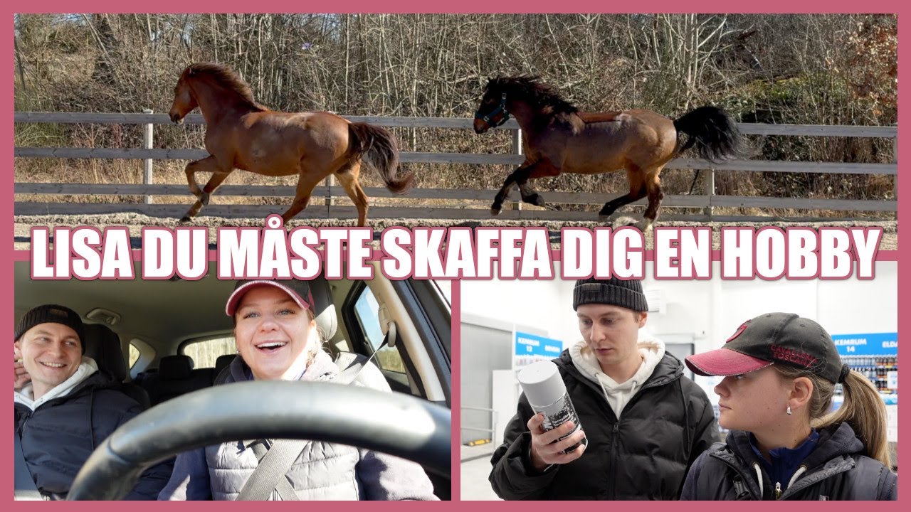 DISKUSSIONER MED CARL & LÖSA BUSIGA HÄSTAR