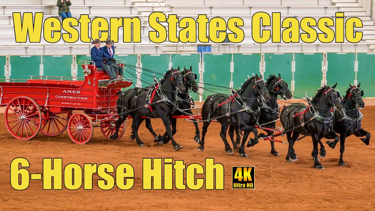Western States Draft Horse Classic 6-Horse Hitch