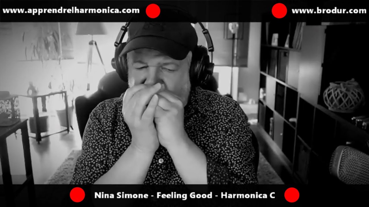 Nina Simone - Feeling Good - Harmonica C