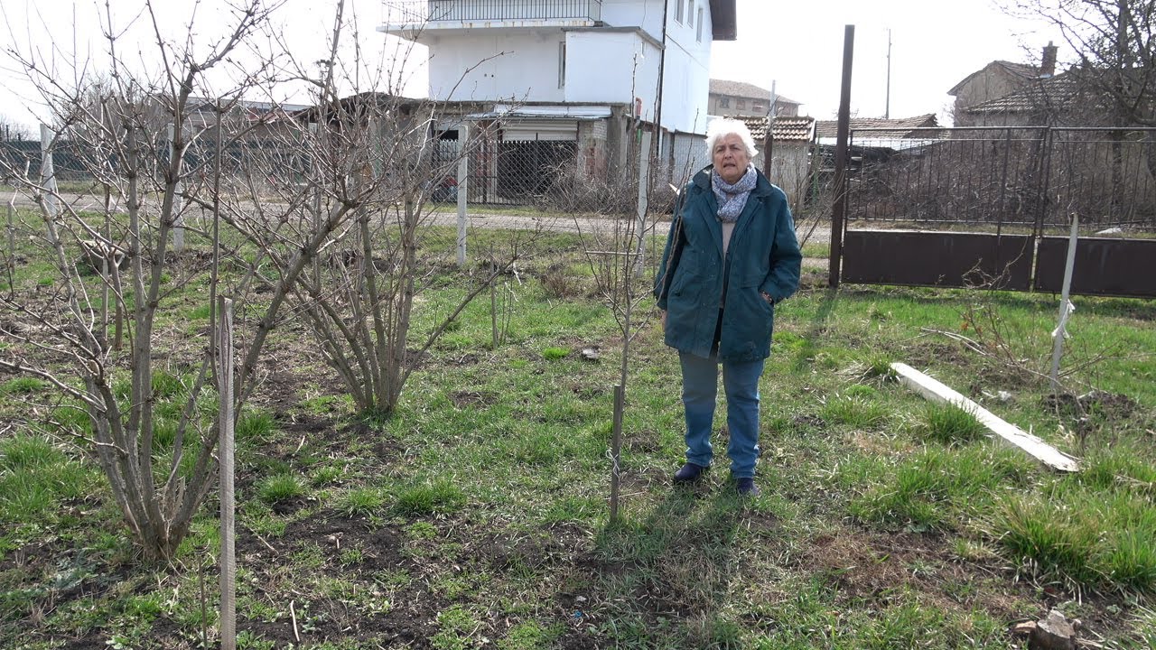 Епизод 21. Резитба на млади овощни дървета - 2 част.