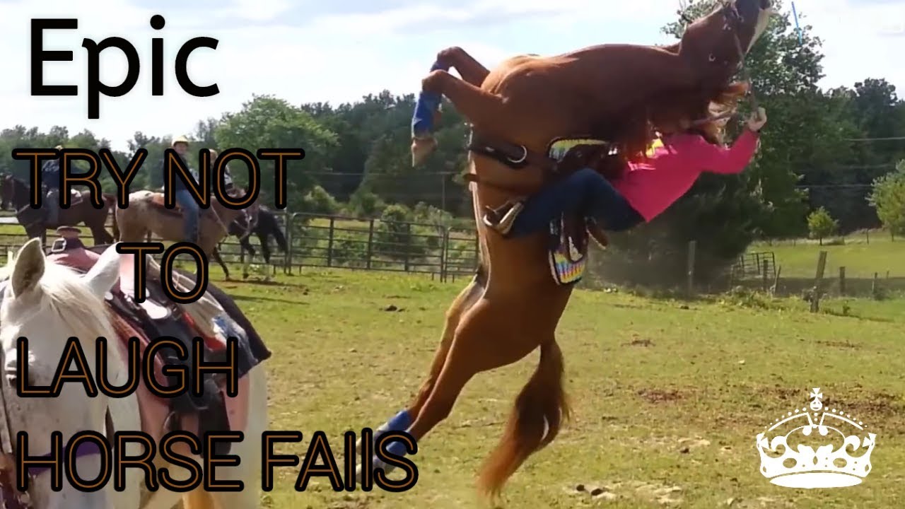 Try not to laugh - horse fails