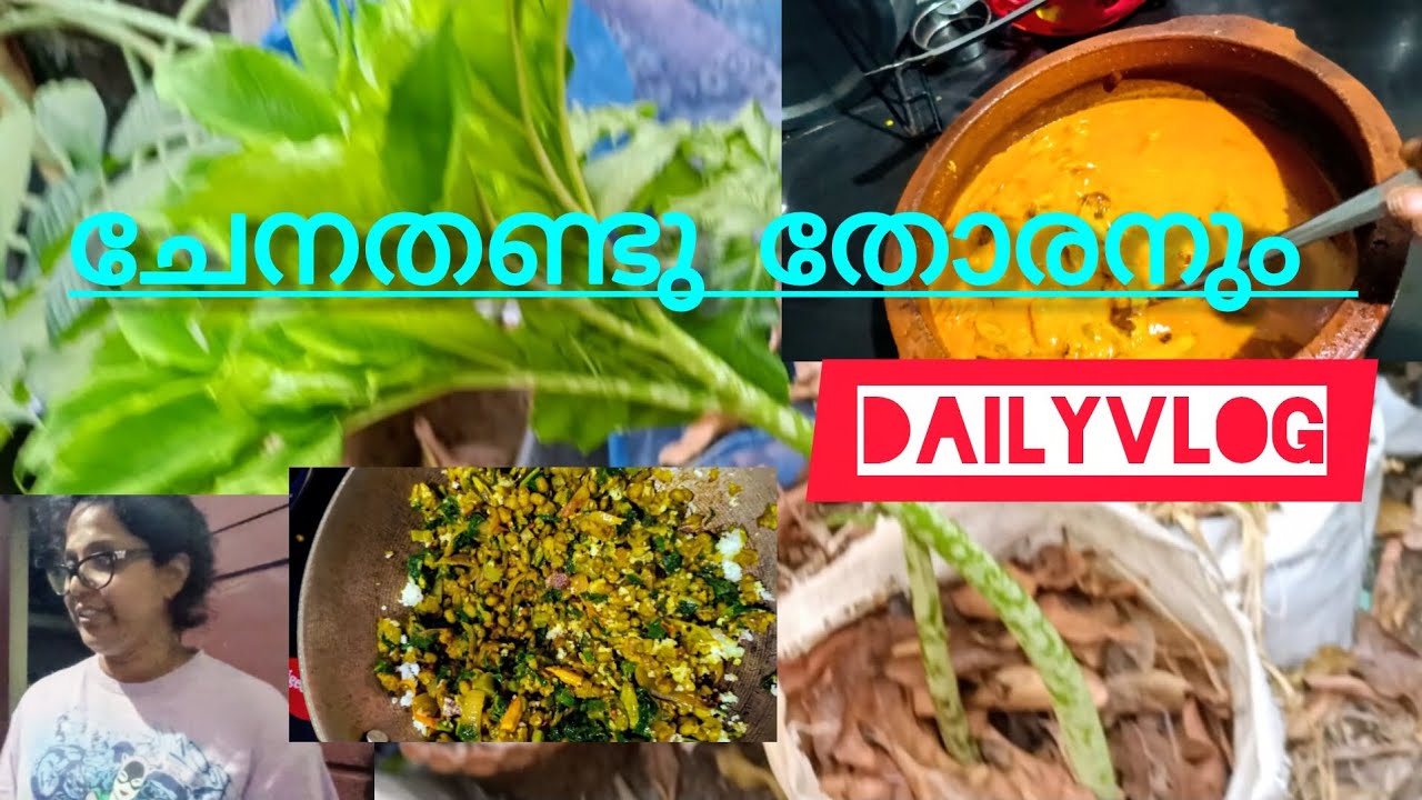 ചേനതണ്ടു തോരൻ @Achinthyaaprasadfamilyvlog #Yam Stalk #Dailyvlog#Cooking#Half Night #Half Morning 