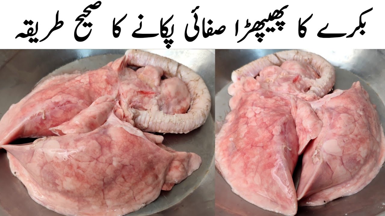 Mutton Phipra Saaf Karne Ka Tarika l  Phepra Pakane Aur Saaf Karne Ka Sahi Tarika
