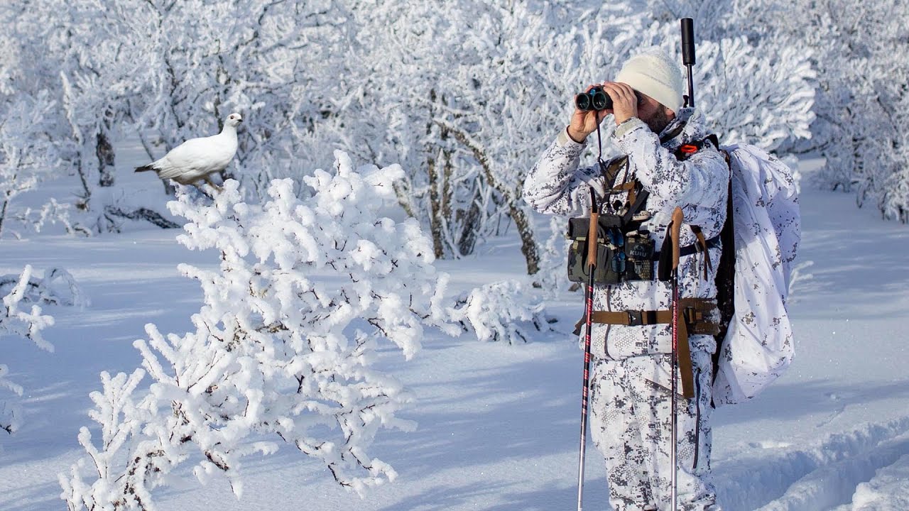 Ripjakt samt Toppfågeljakt i Lofsdalen | Jakt är Jakt