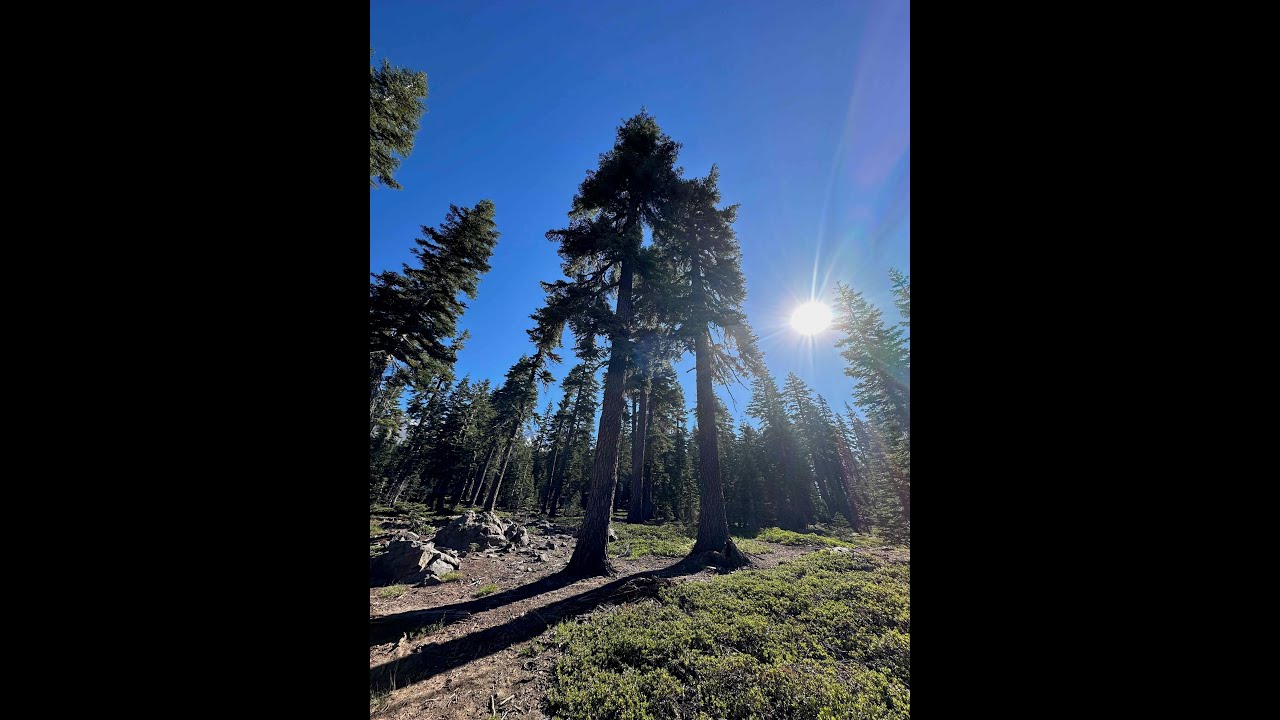 July 2024 Mt Shasta Journey - Bunny Flat