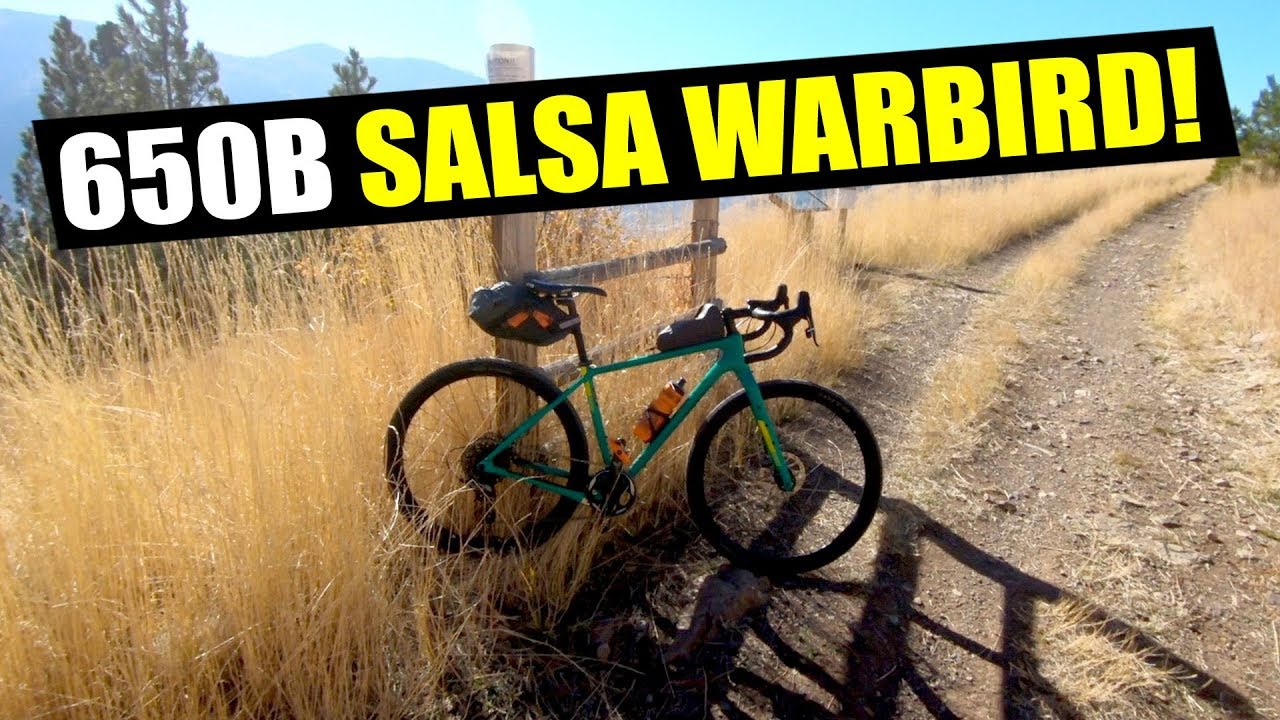650B SALSA WARBIRD