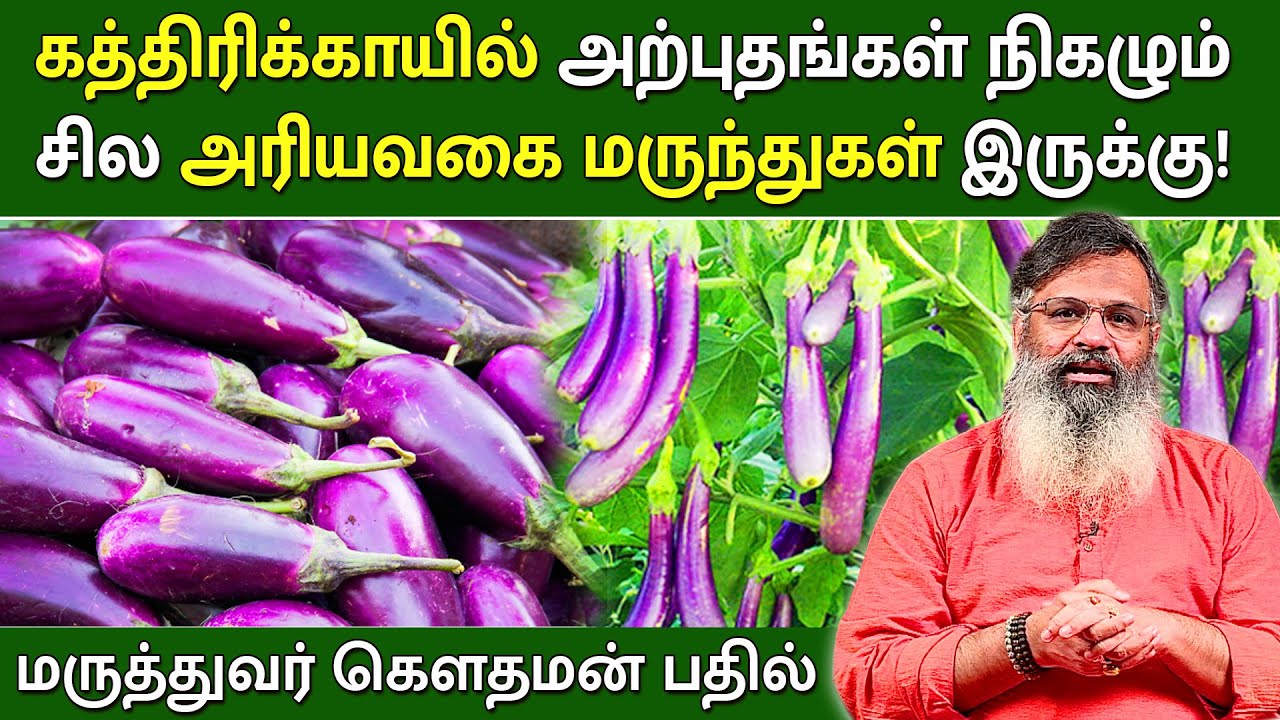 கத்திரிக்காயில் அற்புதங்கள் நிகழும் சில அரிய வகை மருந்துகள் இருக்கு | மருத்துவர் கௌதமன் | MEGA TV |
