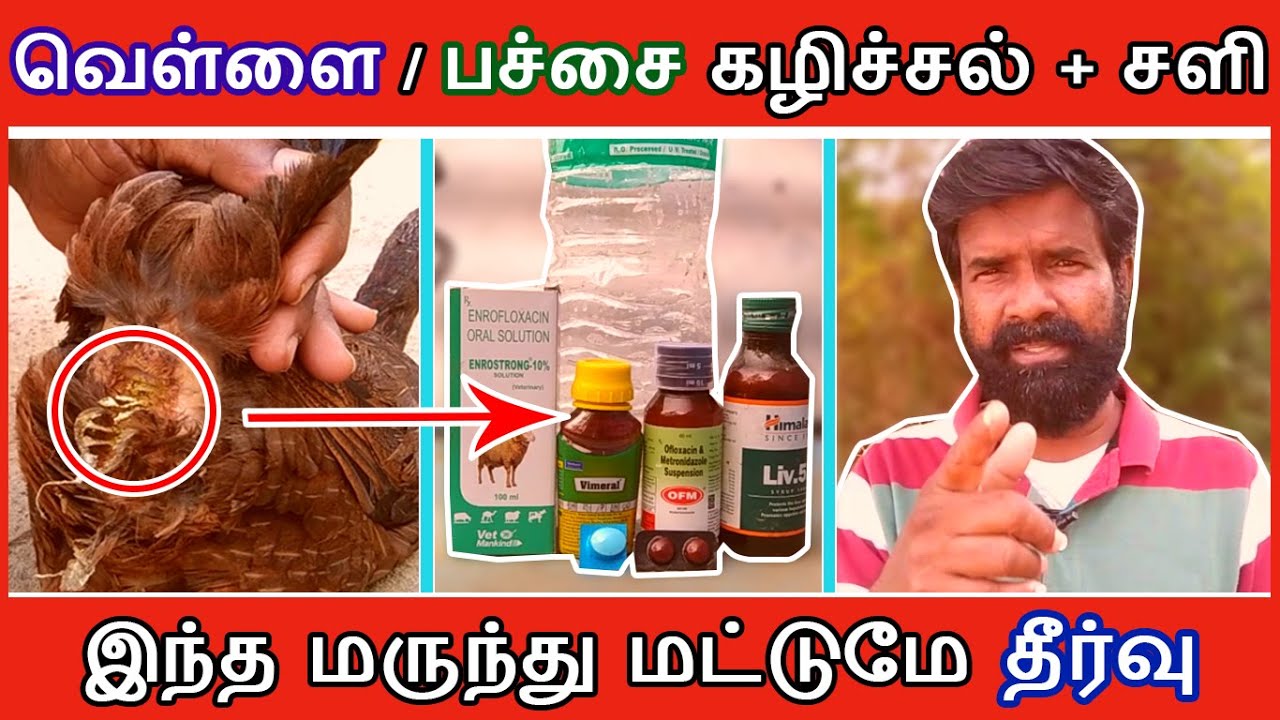 வெள்ளை / பச்சை கழிச்சல் மற்றும் சளி | இந்த மருந்தே தீர்வு 27.4.2021 | TAMIL | GUNA NATTUKOZHI PANNAI