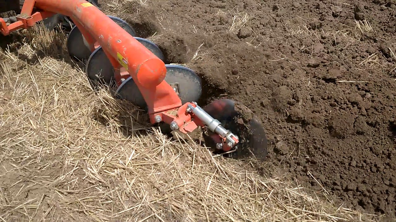 Same Tiger 80.4 / Fieldking