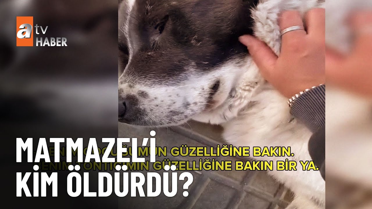 Metronun maskotuydu, Matmazel&rsquo;i kim &ouml;ld&uuml;rd&uuml;? - atv Ana Haber 6 Ocak 2026