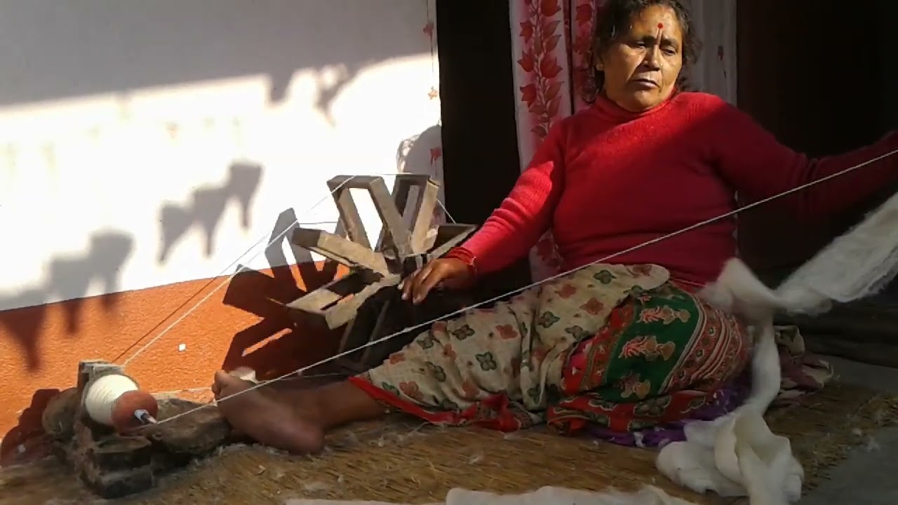 चर्खा चलाउँदै ।