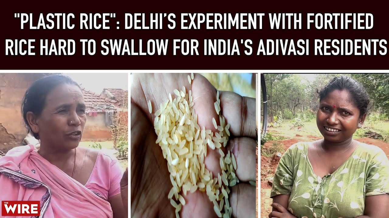 "Plastic Rice": Delhi’s Experiment With Fortified Rice Hard to Swallow for India's Adivasi Residents