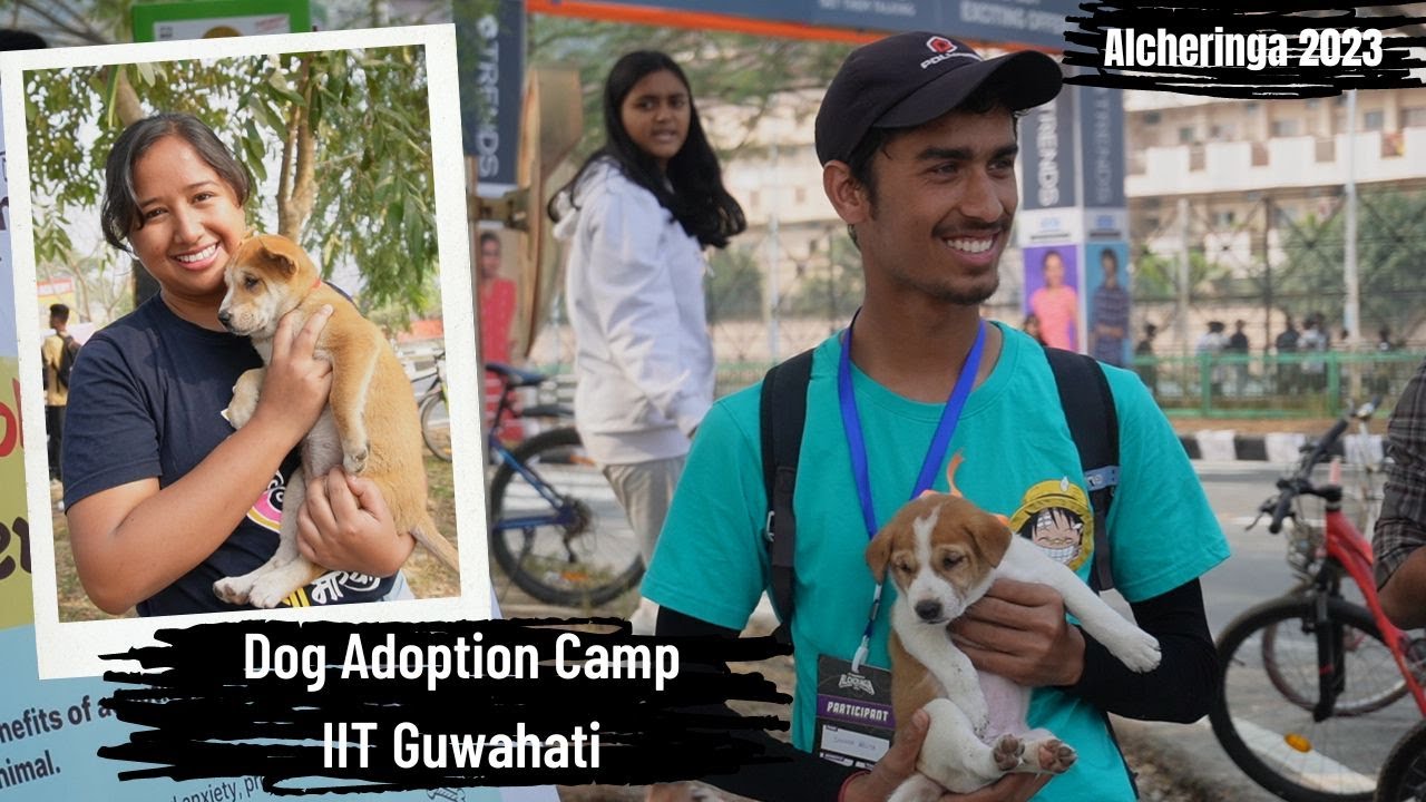 Dog Adoption Camp Alcheringa 2023 IIT Guwahati