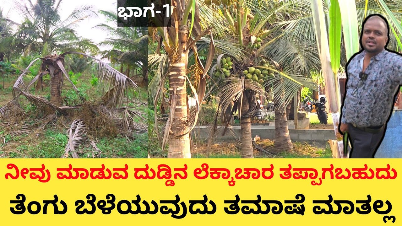 ತೆಂಗು ಬೆಳೆಯುವುದು ಸುಲಭ ಅನ್ಕೊಂಡಿದೀರಾ... ನೀವು ಕ್ಯಾಲ್ಕುಲೇಟ್ ಮಾಡಿದ ಹಾಗೆ ಇಲ್ಲಿ ಯಾವುದು ನಡೆಯೋಲ್ಲ  