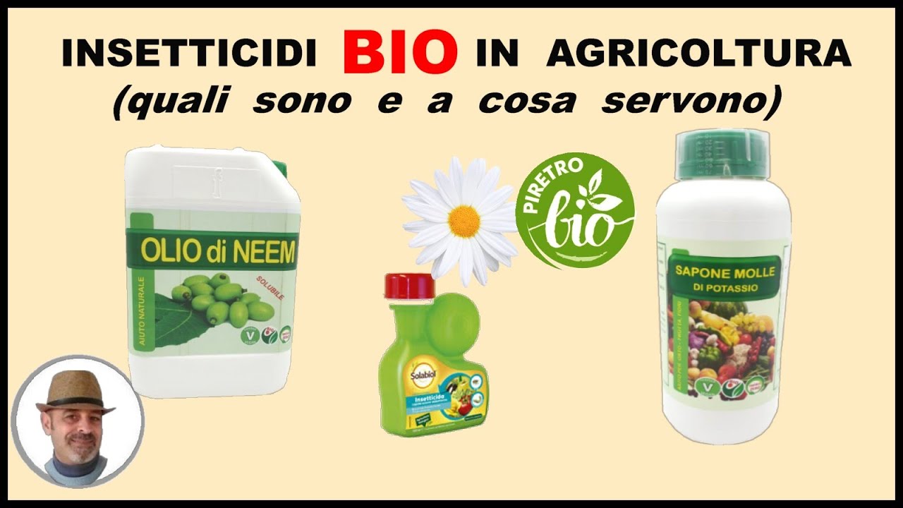GLI INSETTICIDI BIO IN AGRICOLTURA, quali sono ed a cosa servono