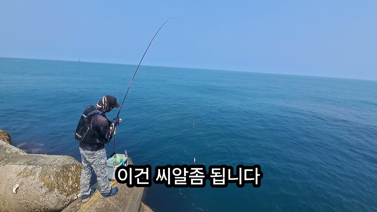 울산동구 주전 큰불항 방파제 벵에돔 낚시 시즌 안정권 진입!