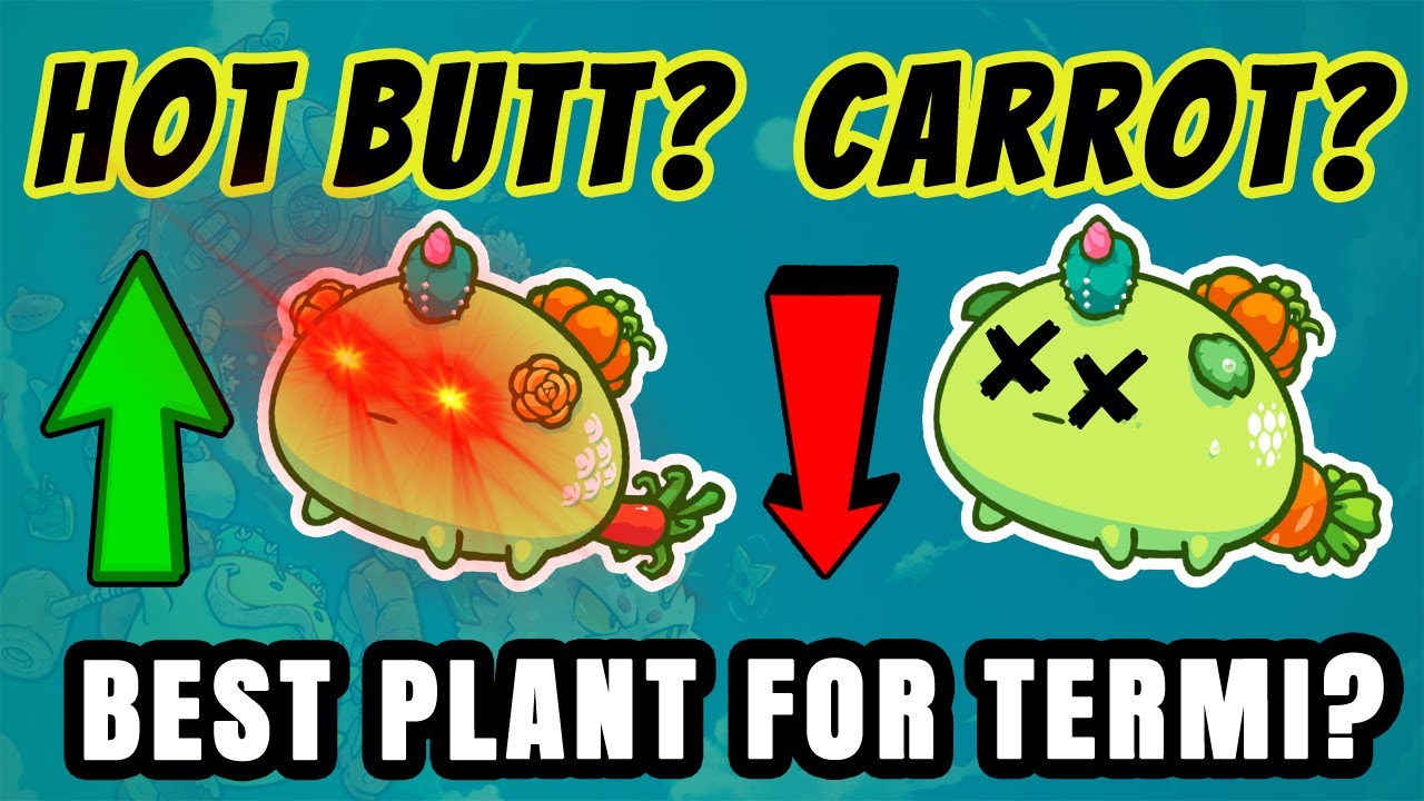 THE BEST PLANT FOR TERMINATOR! DUSK TERMI AQUA PLANT AXIE STRATEGY & TIPS #25 SEASON 20 AXIE 2022