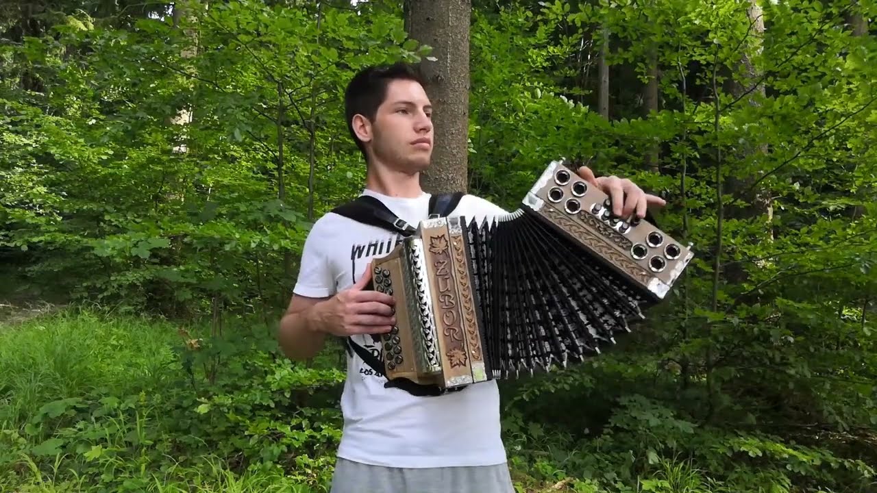 Heligonka- Keď rozkvitne biela ruža