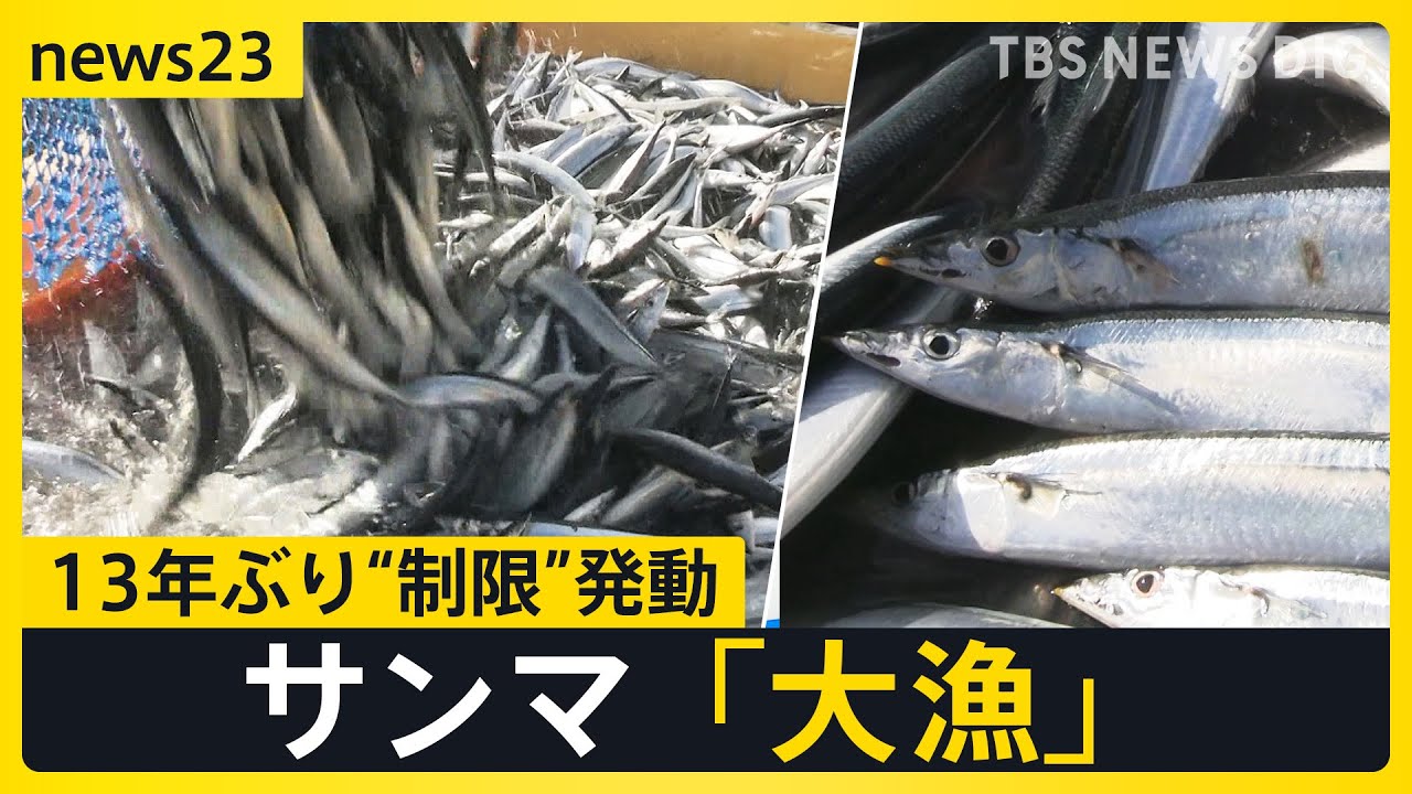 「黒潮大蛇行」が終息…日本の漁場への影響は？　サンマ「大漁」で13年ぶり“制限”発動　“海の砂漠化”で名産・アワビに危機も【news23】｜TBS NEWS DIG
