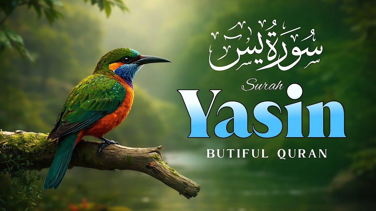 Surah Yaseen (Yasin) سورة يس | Beautiful & Heart-Touching Quran Recitation | 