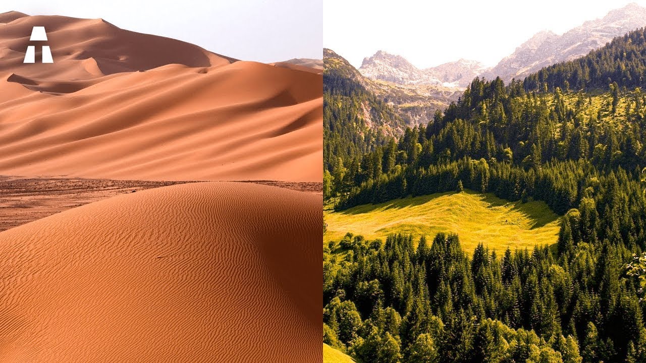 Cómo China Transformó el Desierto en Bosques Verdes