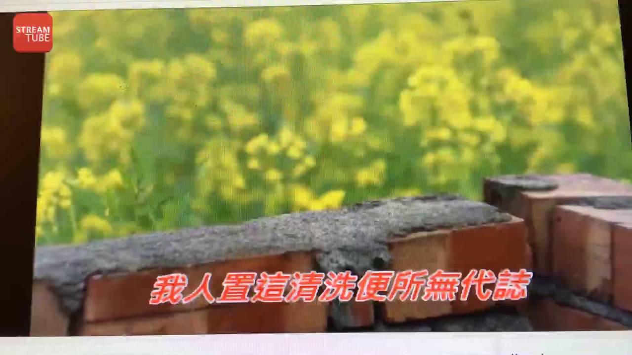 taiwanus Live Stream
