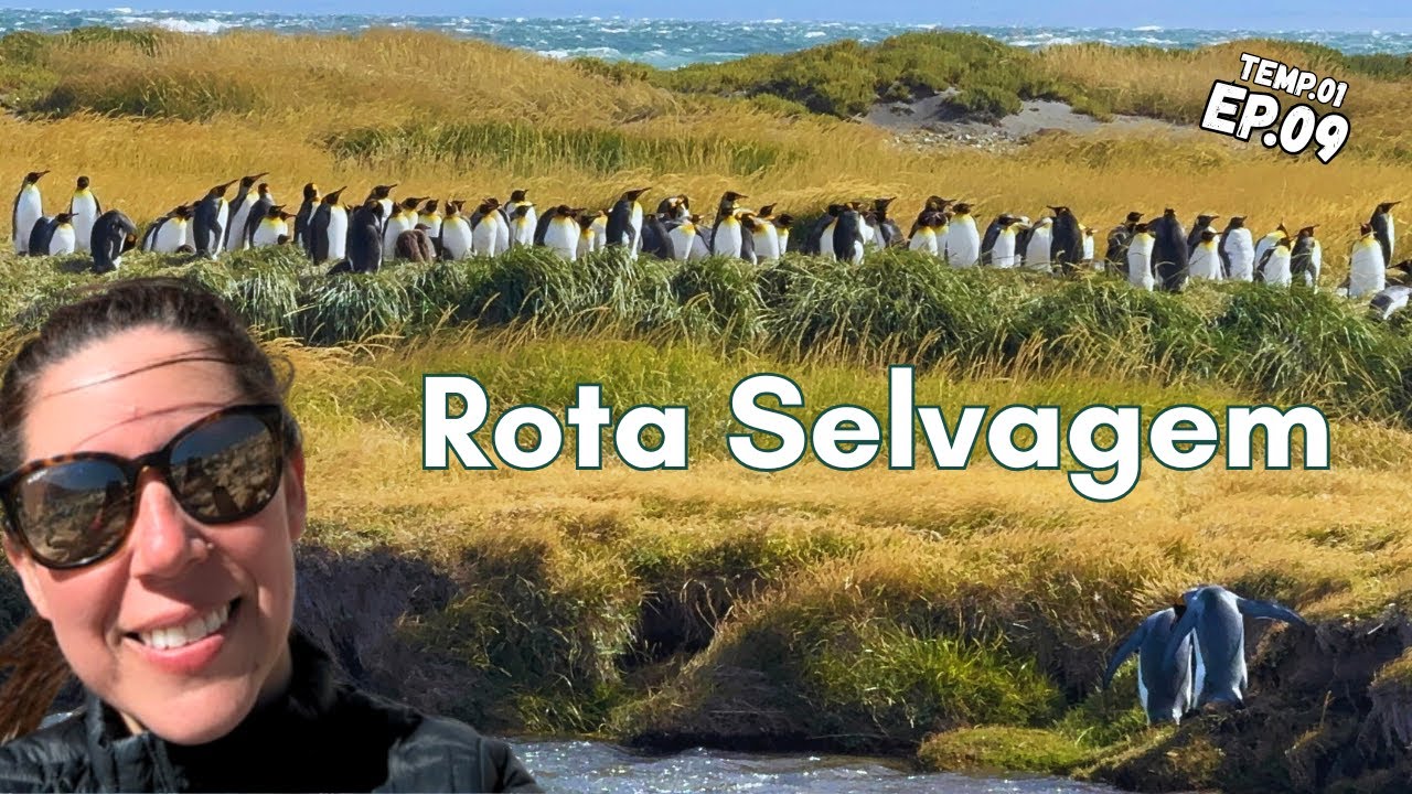De Ushuaia a Punta Tombo: Uma Viagem Cercada por Pinguins na Patagônia