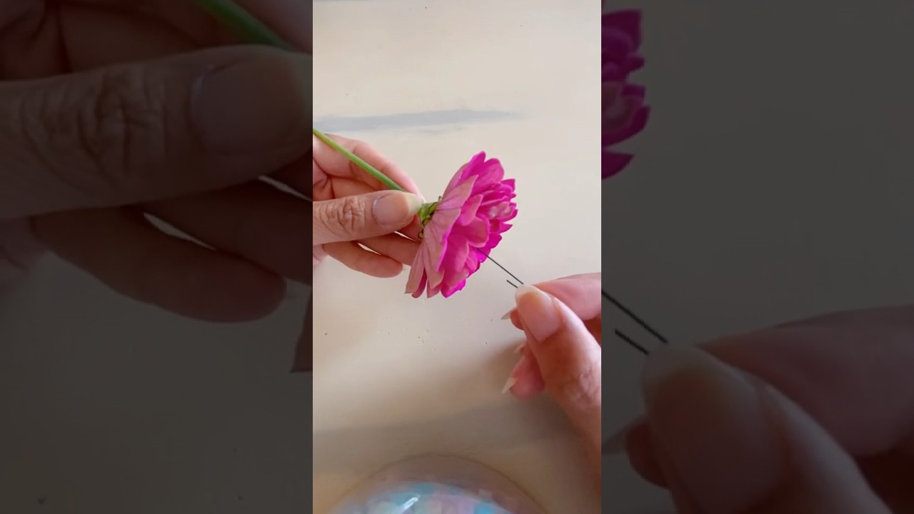 This is how to fix a bent flower stem #flowerhack #flowers #zinnia