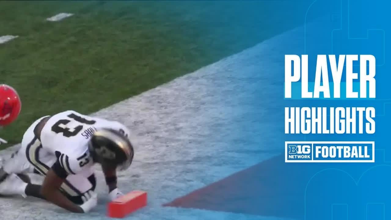 Ryan Browne Highlights vs. Illinois | Purdue Football | 10/12/2024