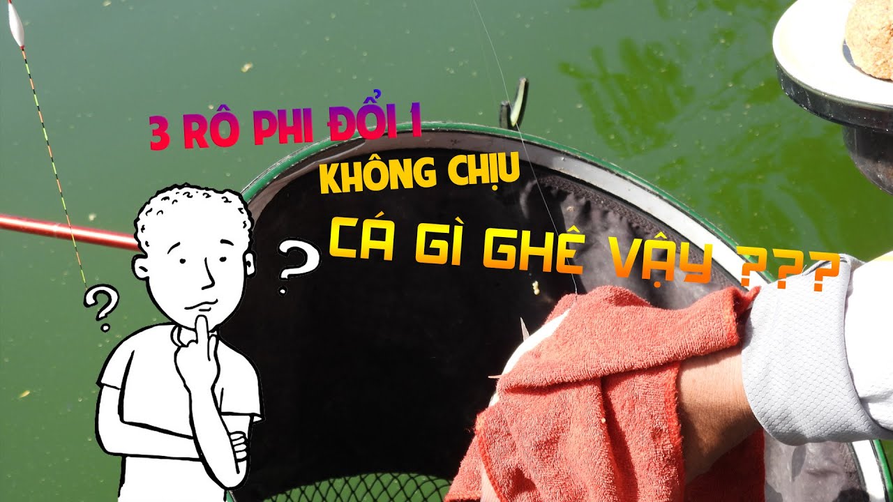 Câu Đài - Kỉ thuật câu lửng - Chia sẽ cách Câu cá mùi hiệu quả hiệu quả.