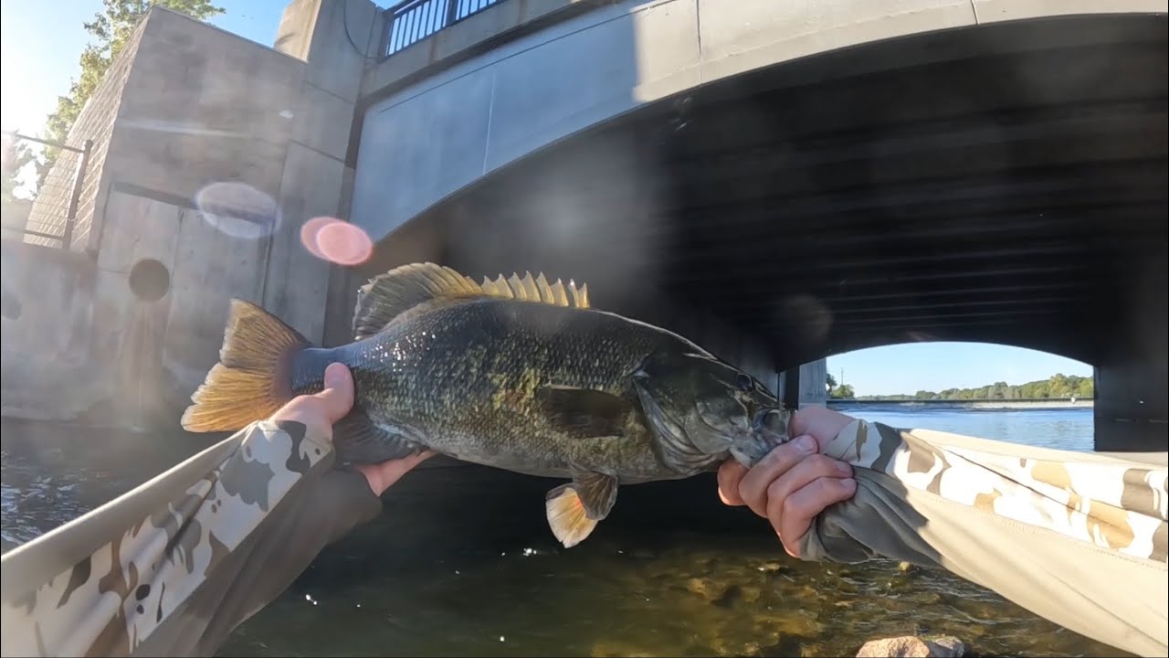 Fox River Fishing w/ a ned rig, squarebill, & whopper plopper