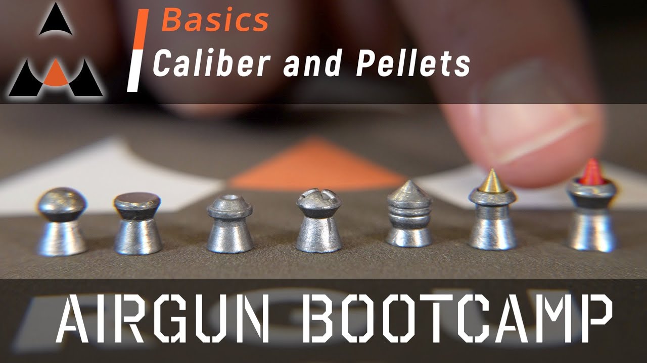 Airgun Pellet Calibers and Types - Airgun Bootcamp